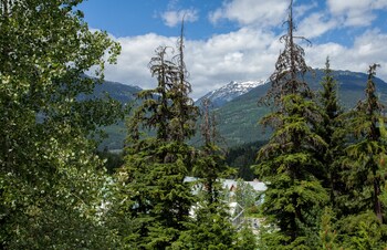 View from Hotel