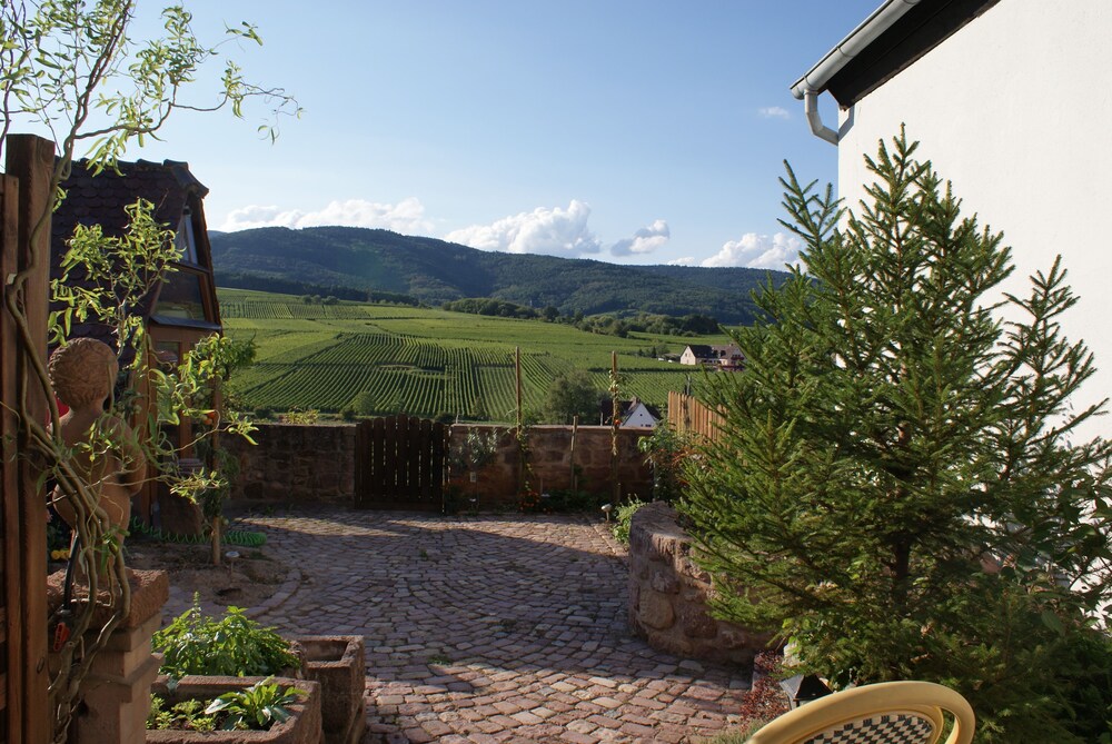 View from Hotel