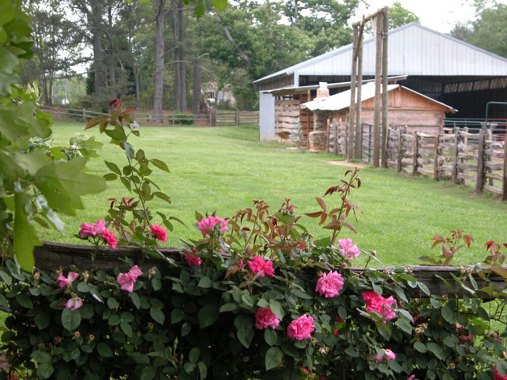 Jardín