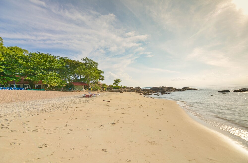 Beach/Ocean View