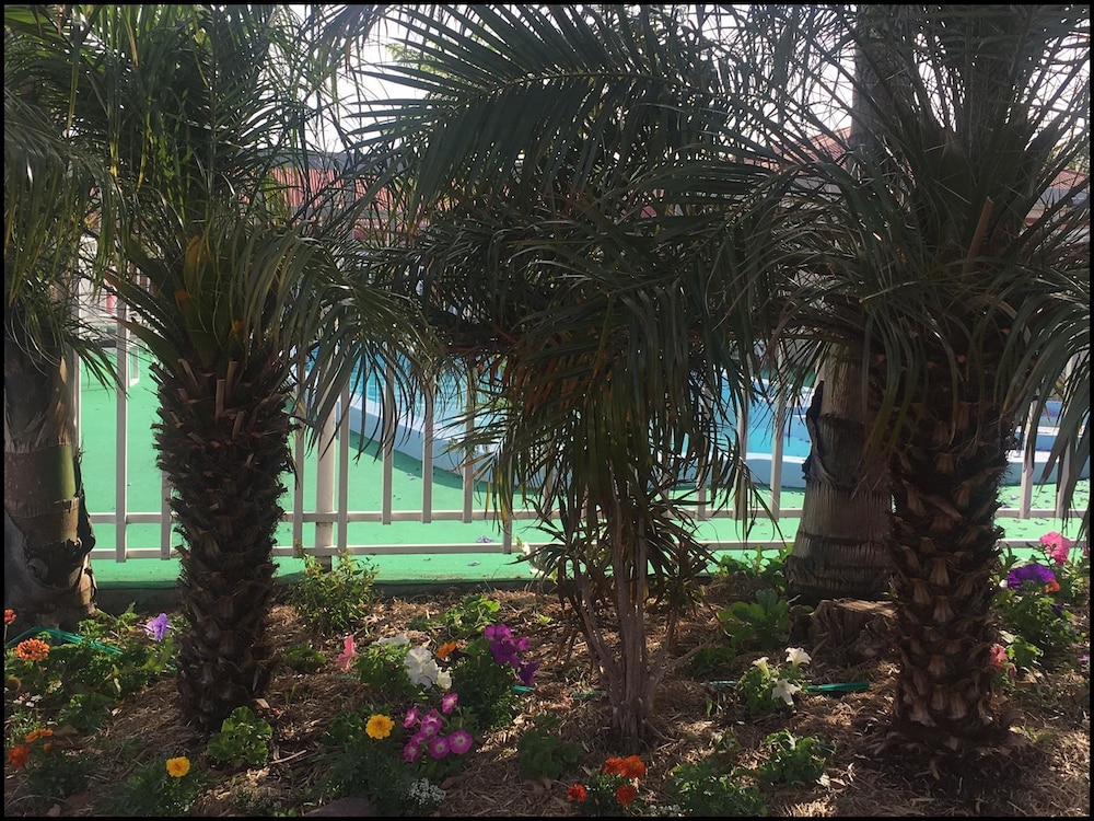 Courtyard View