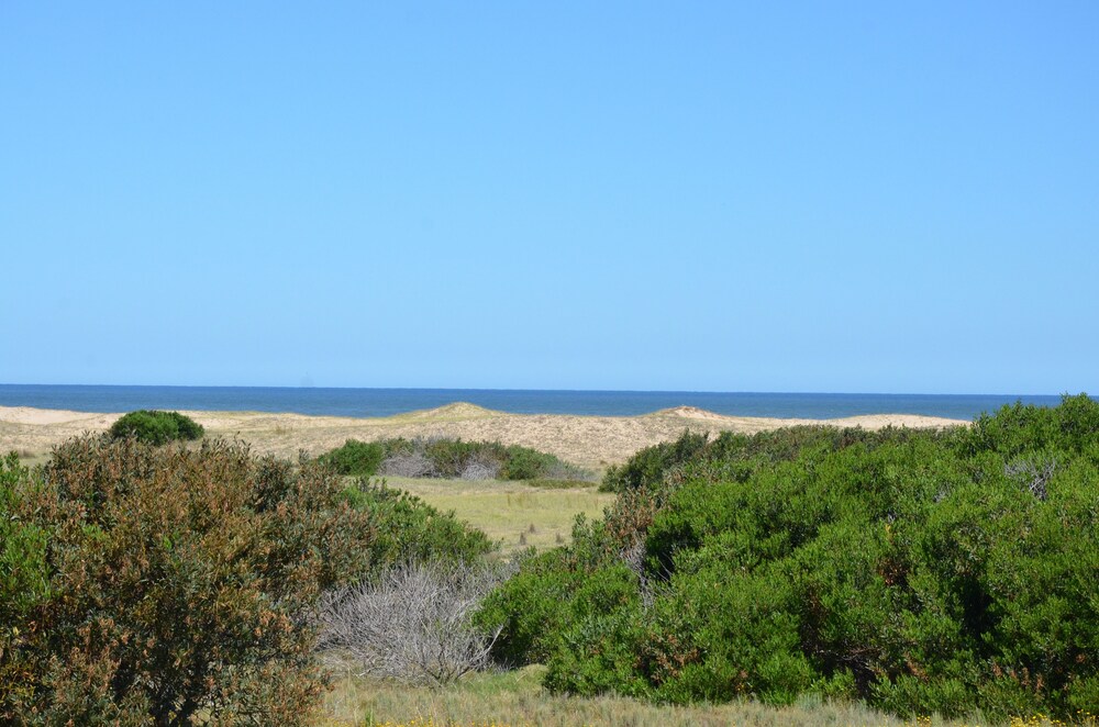 Beach/Ocean View