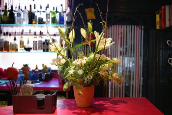 Hotel Bar