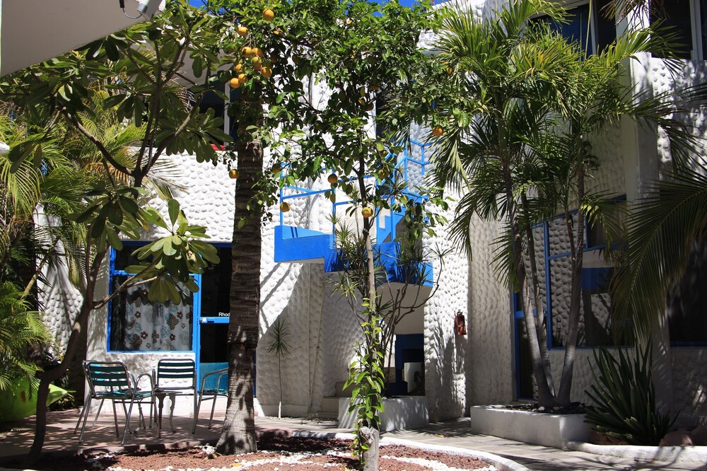 Vista al jardín