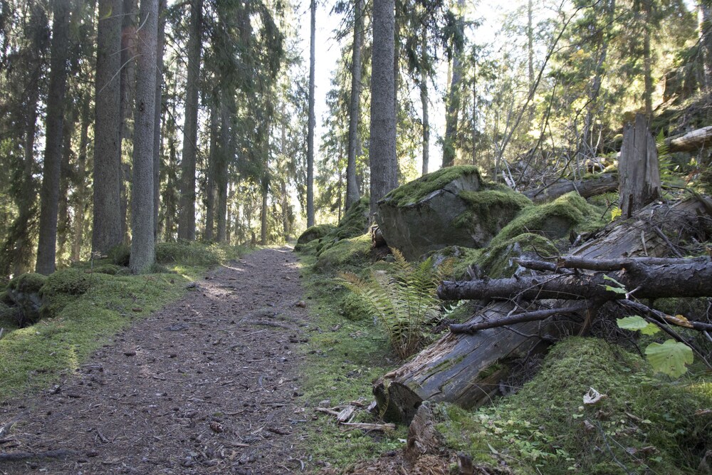 Hiking