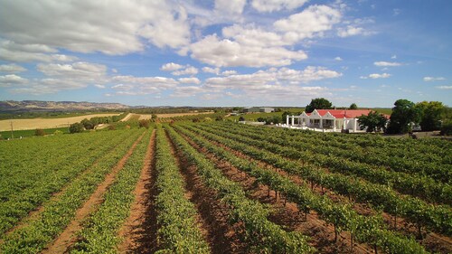 1837 Barossa Luxury Vineyard Cottage #2, Lyndoch SA