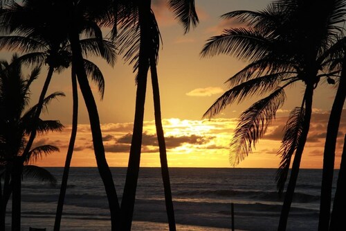 Bahia Beach Front House