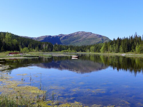 Velfjord camping & hytter