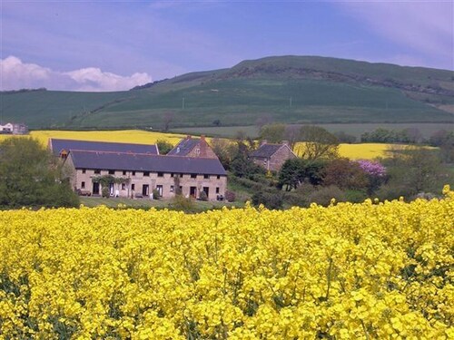 Delightful country cottage. Stunning views. A few minutes walk to Seatown beach