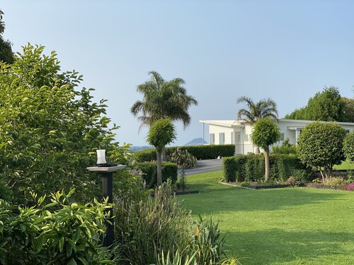 Tropical Avocado Orchard Escape