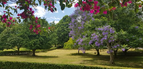 Recharge in a tranquil rural setting at 'Country Bliss'