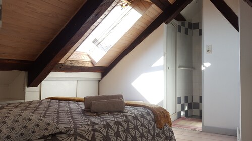 Superbe triplex en hyper centre de Rodez