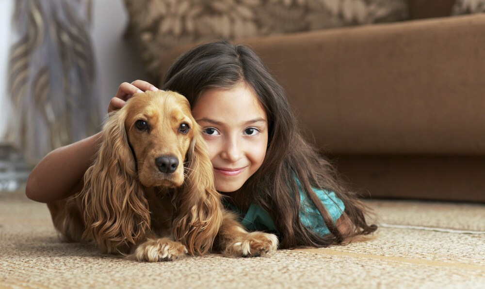 Pet-Friendly