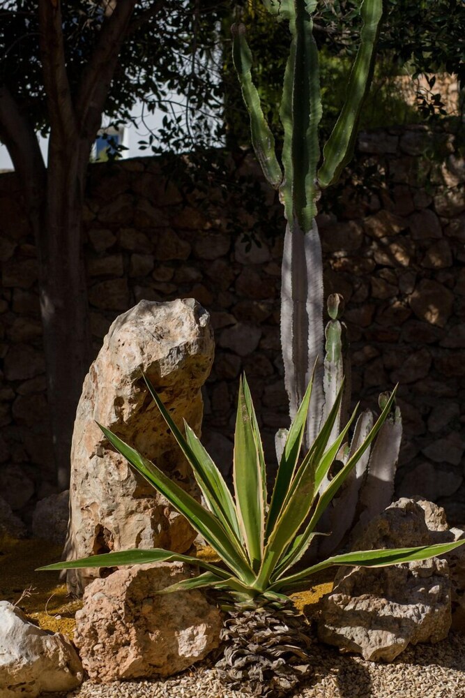 Jardines del establecimiento