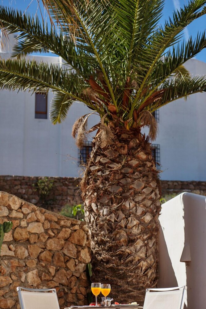 Detalle del exterior