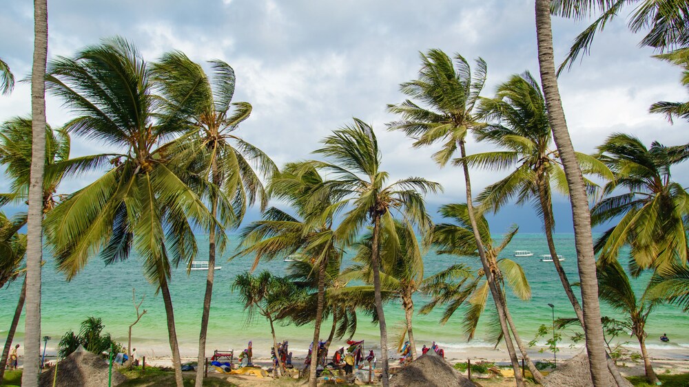 Beach/Ocean View