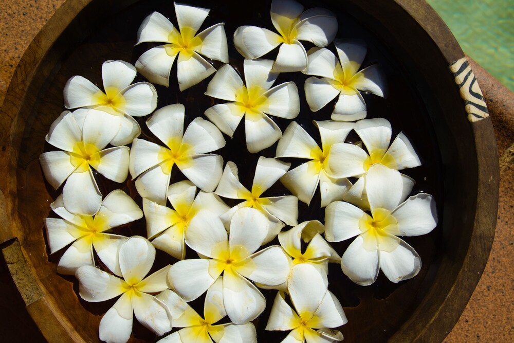 Spa Treatment