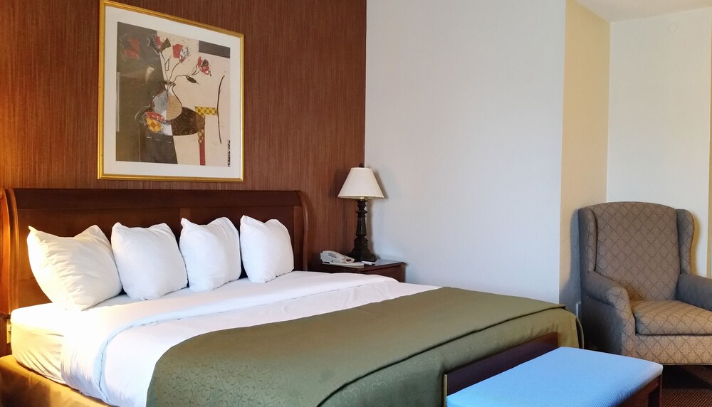 Guestroom View