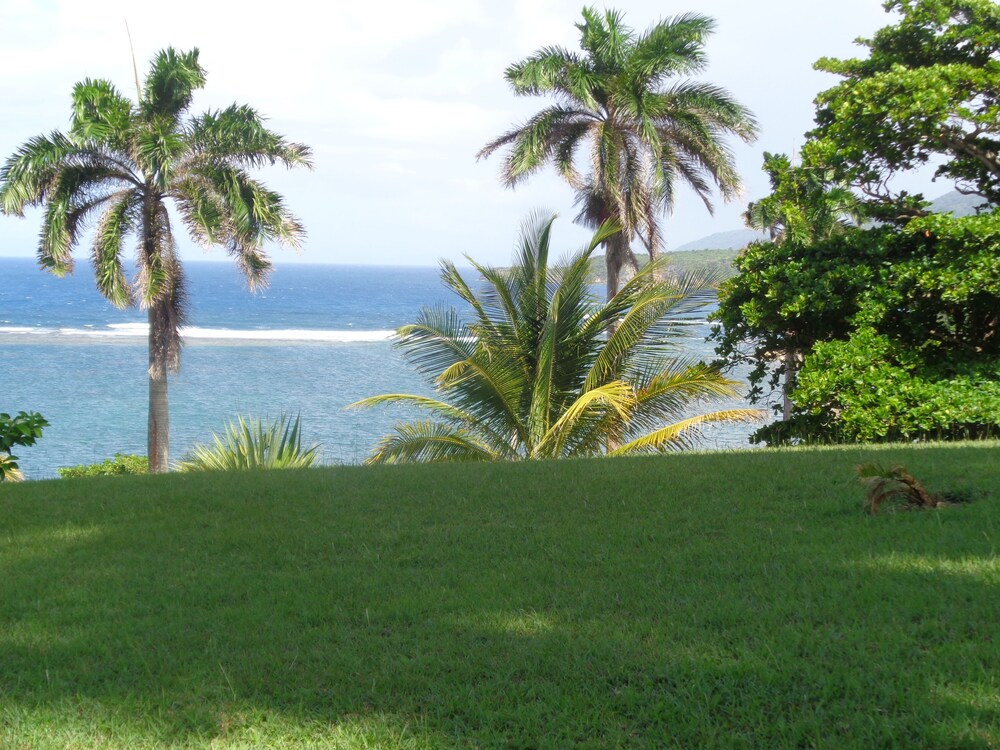 Beach/Ocean View
