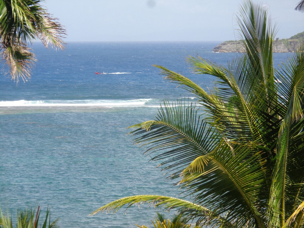Beach/Ocean View