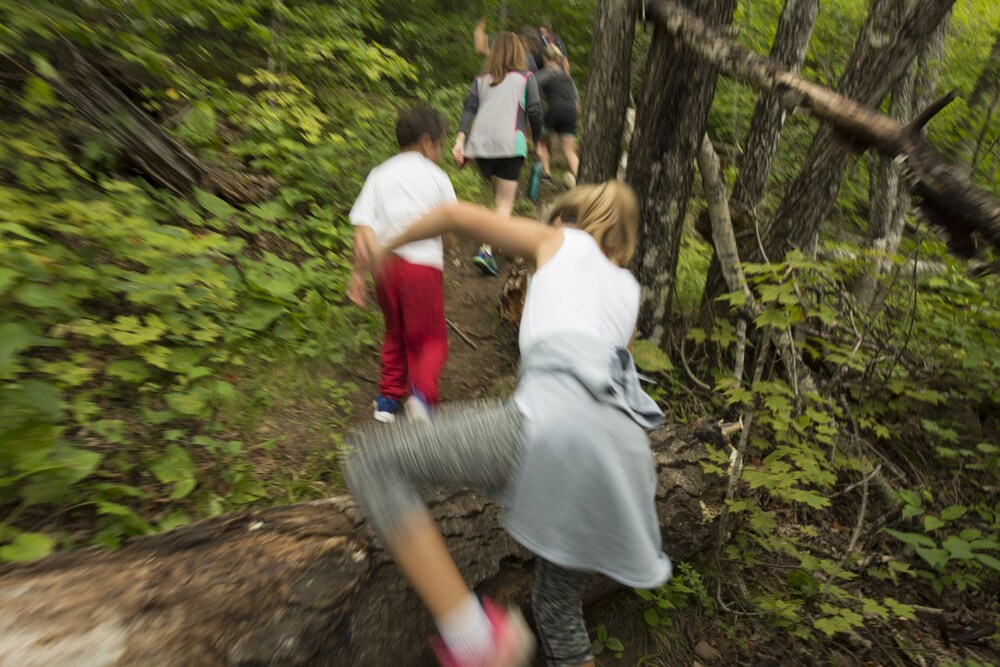 Hiking