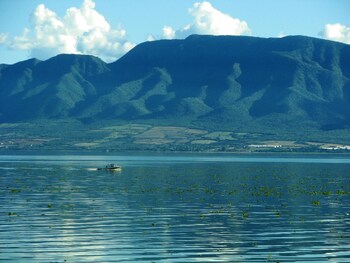 Lake View