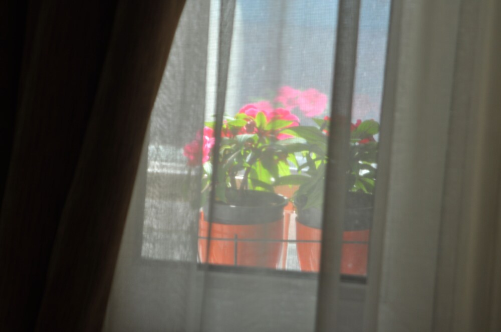 Guestroom View