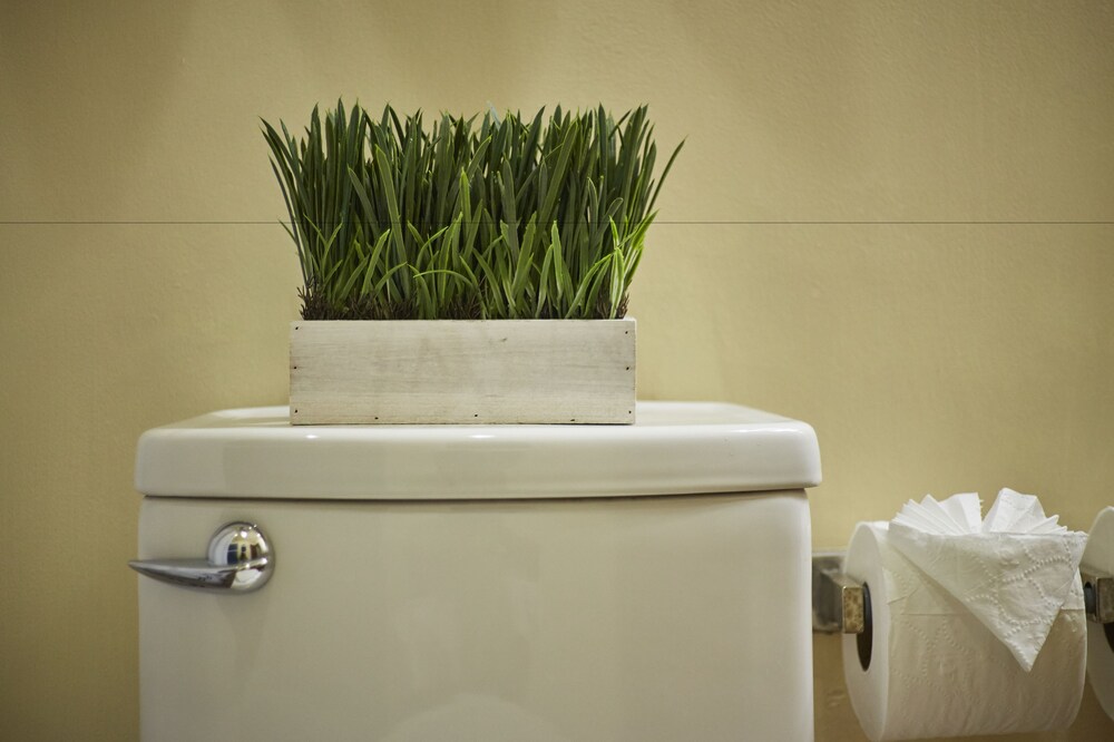 Bathroom, San Angel Suites