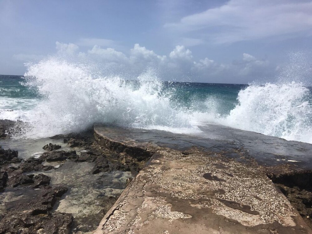 Beach/Ocean View