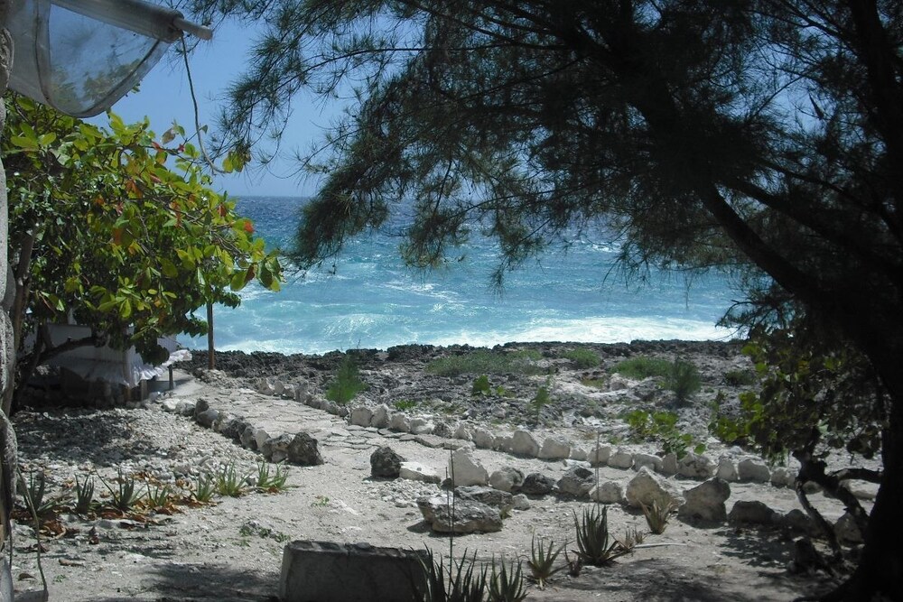 Beach/Ocean View