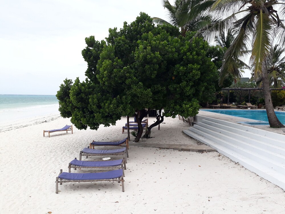 Beach/Ocean View