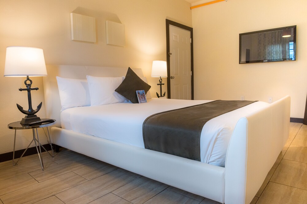 Suite, 1 Bedroom - Guestroom