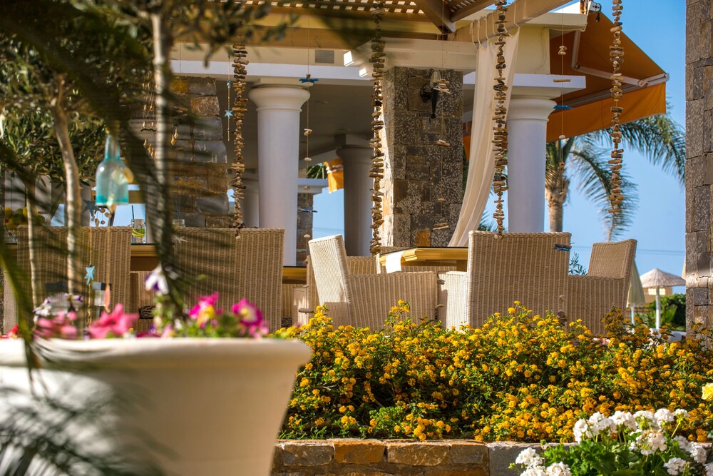 Poolside Bar