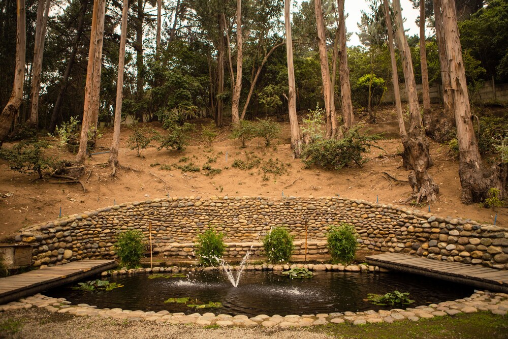 Fountain