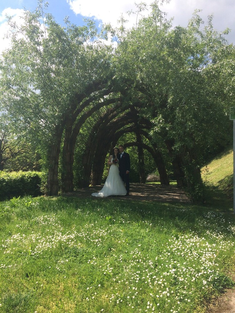 Outdoor Wedding Area