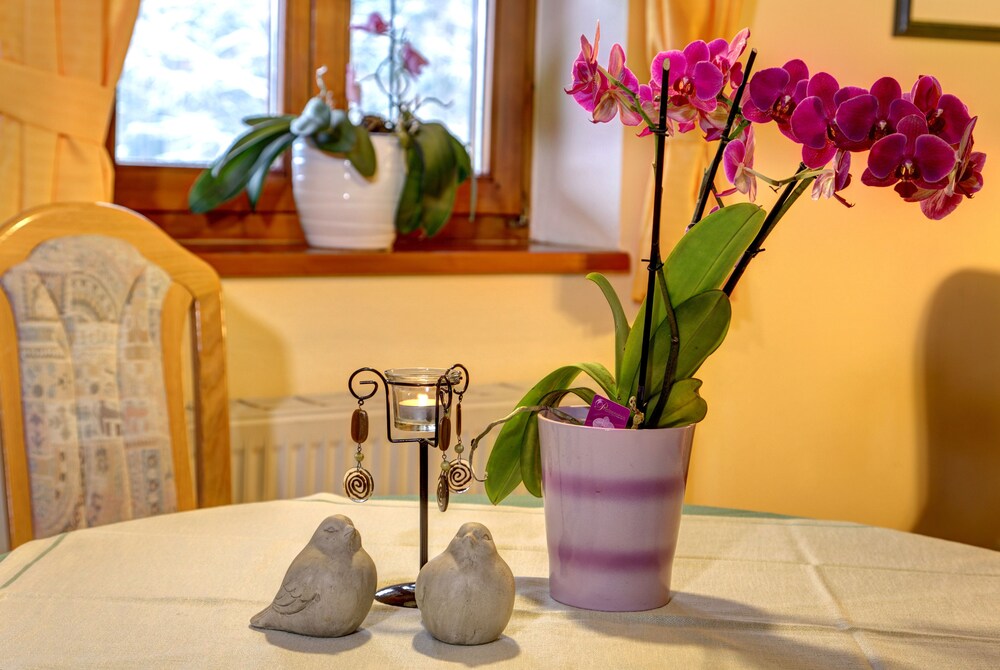 Zimmer (Apartment, 1 Schlafzimmer, Gartenblick (Falkenstein))