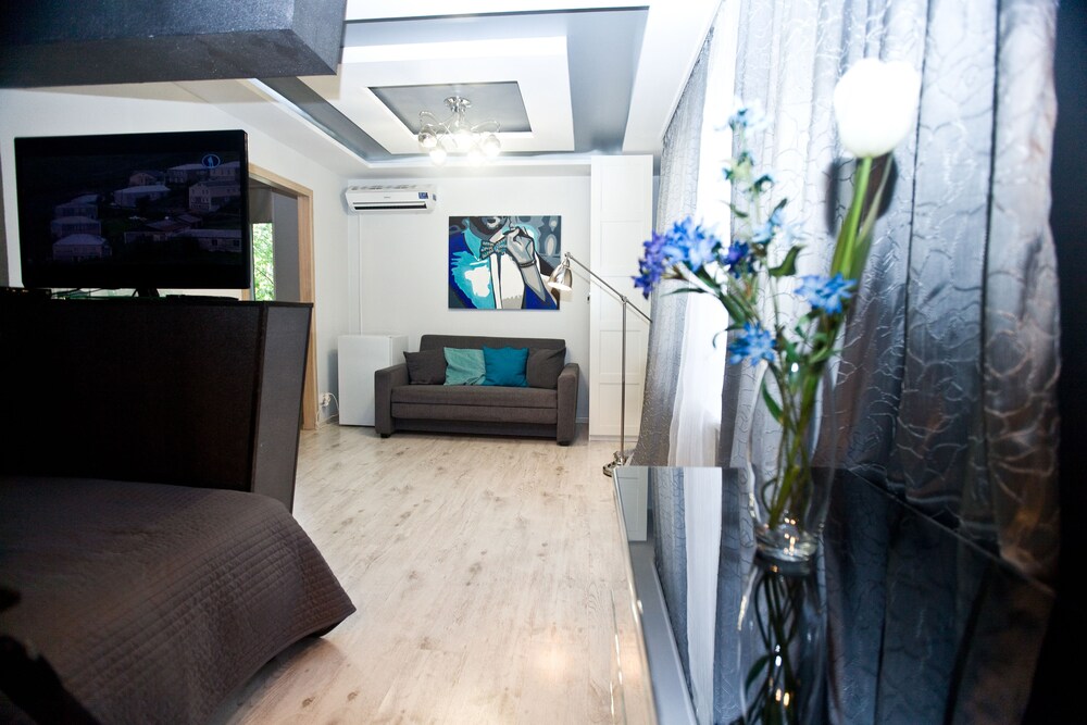 Business Studio - Guestroom