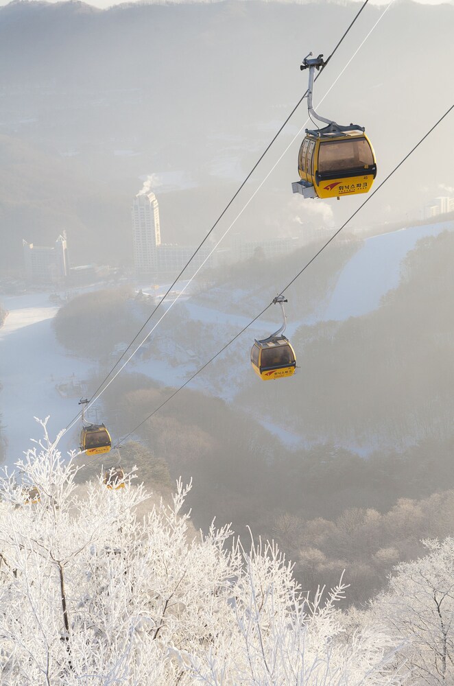 滑雪場