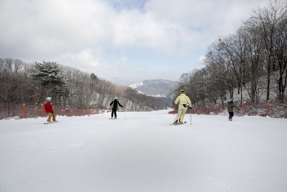 滑雪場