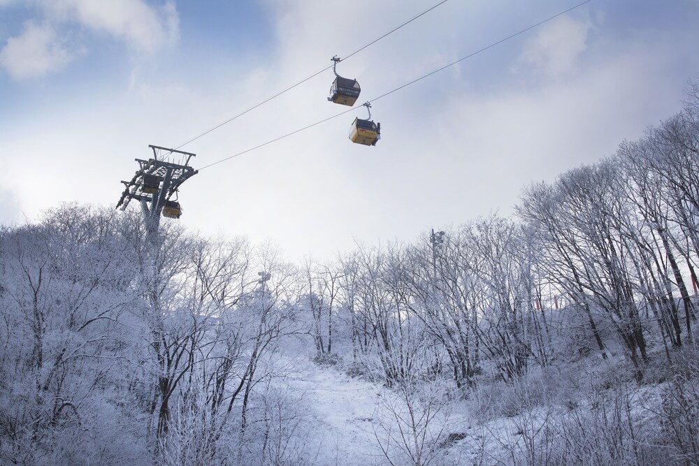 滑雪場