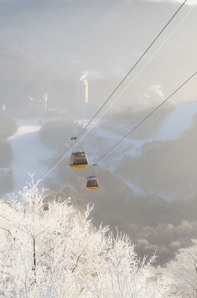 滑雪場