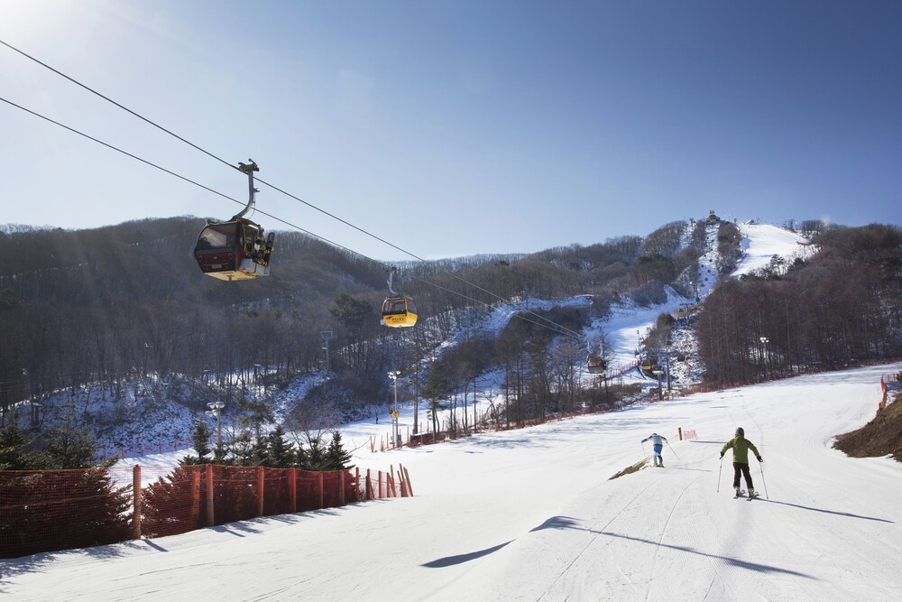 滑雪場