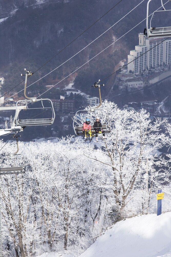 滑雪場