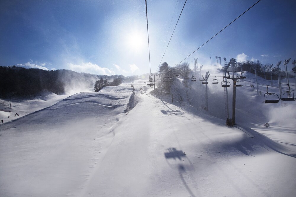 滑雪場