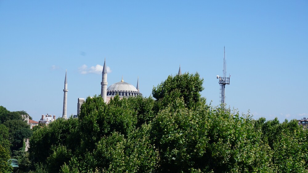 View from Hotel