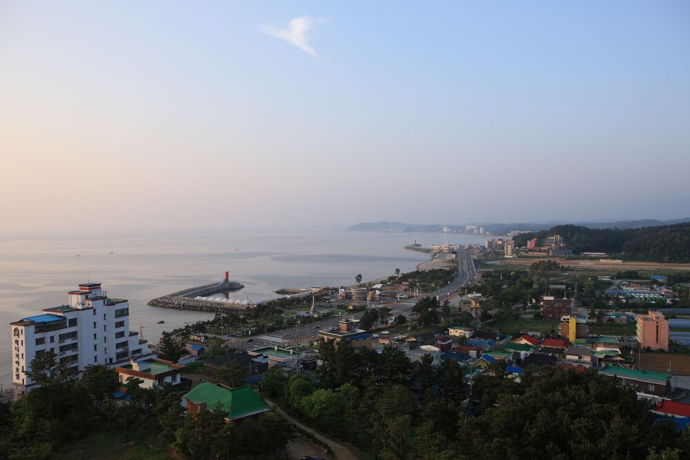 대표 사진
