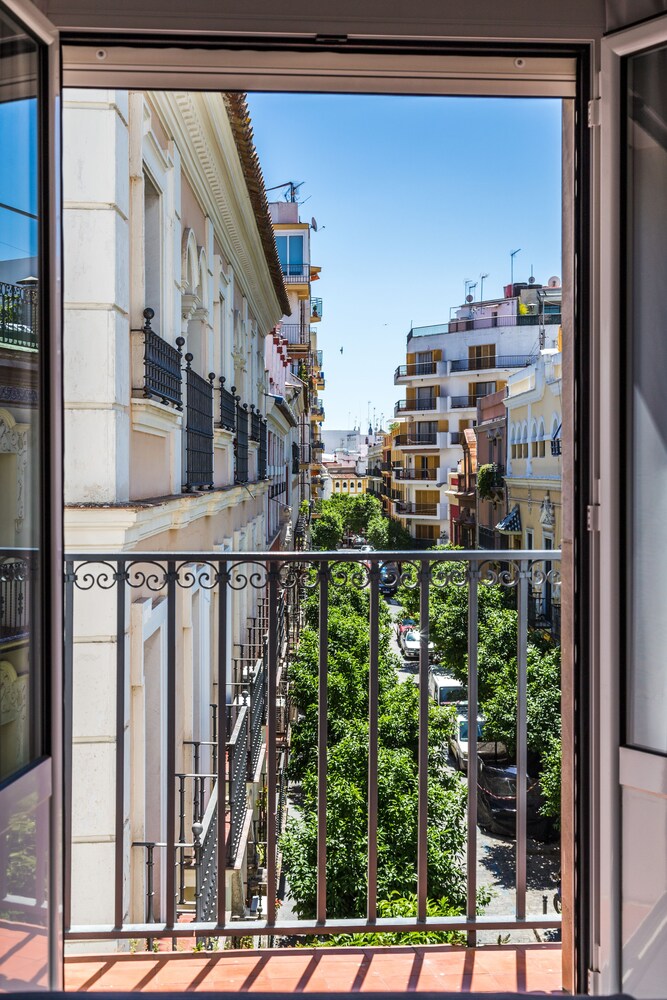 Vista desde la habitación