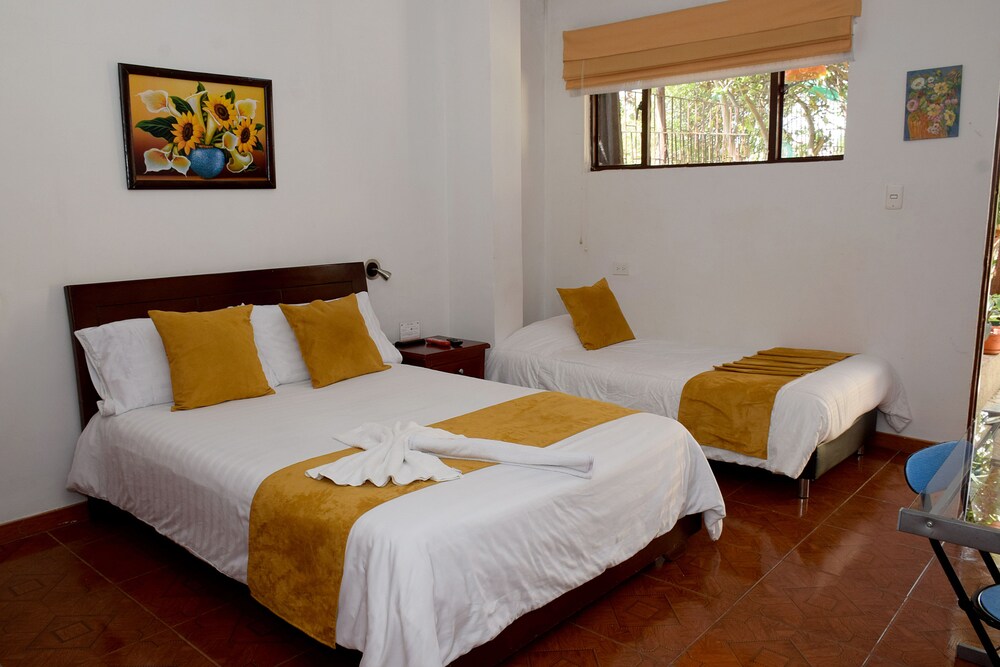Single Room - Guestroom