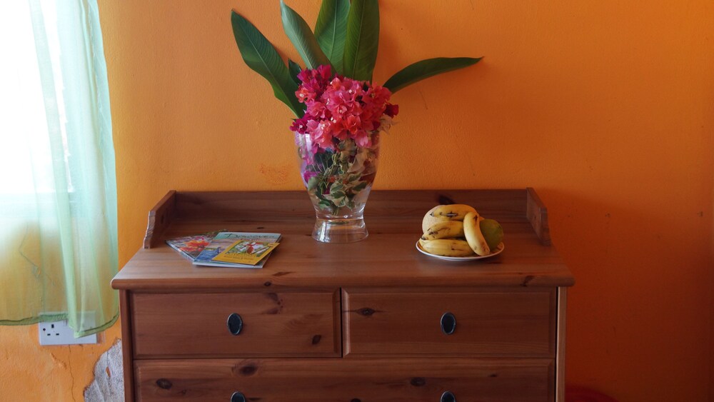 Standard Double Room, 1 Bedroom, Beach View, Beachside - Guestroom