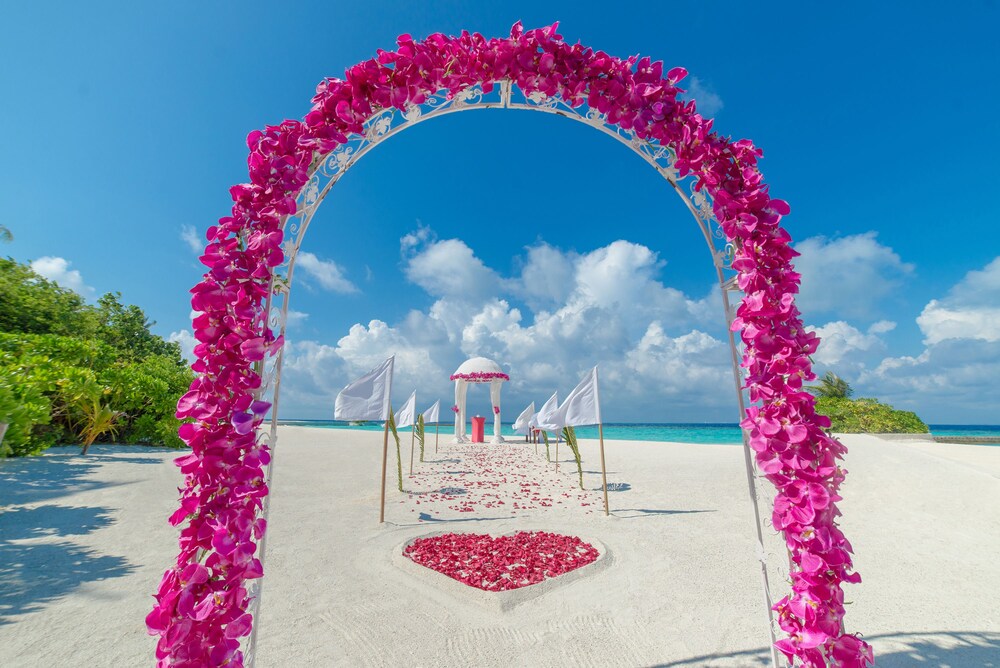 Outdoor Wedding Area